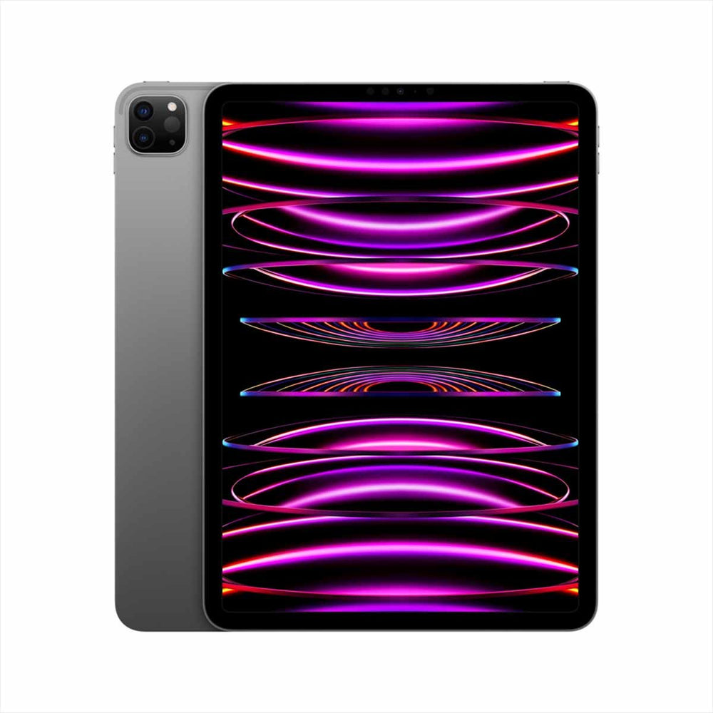 Ipad Pro 11 256Gb Wi-Fi Gris Espacial