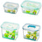 Juego de Contenedores Bisfree Tritán Lock \& Lock