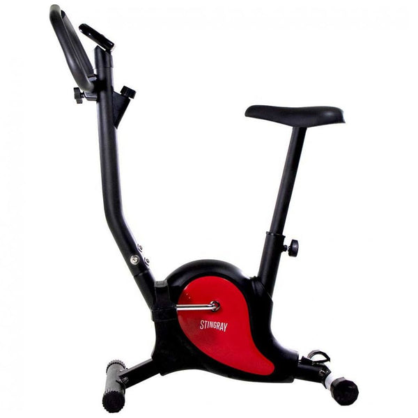 Bicicleta Fija Stingray