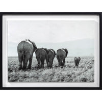 Picture Elephants 60X80Cm Sears Mexico