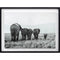 Picture Elephants 60X80Cm Sears Mexico